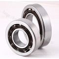 Wheel Bearing, Motorcyle Parts, Angular Contact Ball Bearing (SF4007PX1)